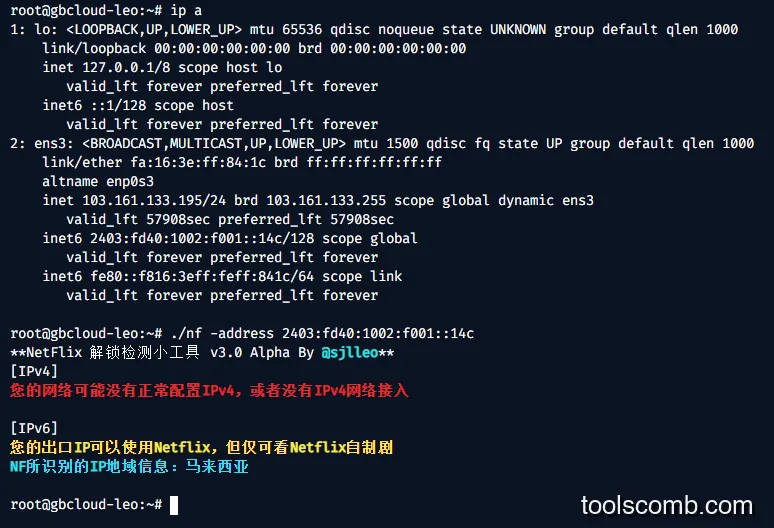 流媒体解锁检测神器：一键探明 Netflix 等平台可用性